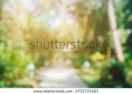 Blur nature bokeh green park by beach and tropical coconut trees in sunset time.