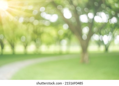 Blur nature green park with bokeh sun light abstract background. Copy space of travel nature adventure and environment ecology concept. Vintage tone filter effect color style. - Shutterstock ID 2151693485