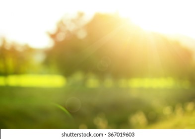 Blur Nature Green Park With Sun Light Abstract Background.