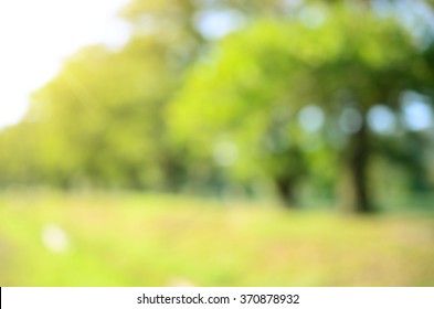 Blur Nature Green Park With Sun Light Abstract Background.