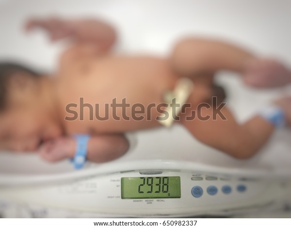 Blur Newborn Babies Weigh On Weighing Stock Photo (Edit Now) 650982337