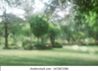 Blur park with sun light abstract background