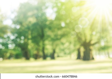 Blur park with sun light abstract background. 