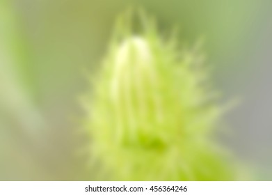 blur passion fruit for background 
