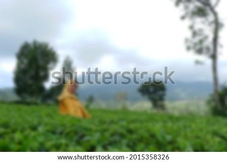 Blur photo of asian couple on vacation in tea garden