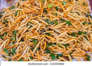 1,547 Laos insect Images, Stock Photos & Vectors | Shutterstock