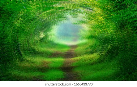 Blur psychedelic dreamlike forest path lined with magical trees