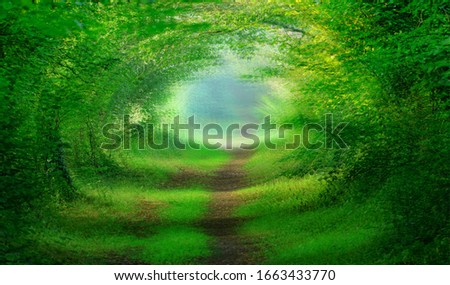 Blur psychedelic dreamlike forest path lined with magical trees