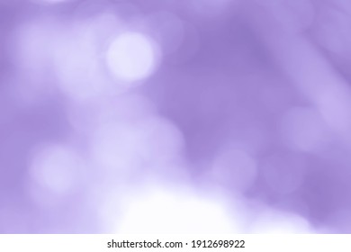 Blur Purple Bokeh Nature Background