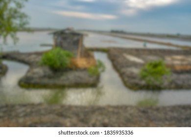 Blur Scene Of Shack House In Shrimp Pond