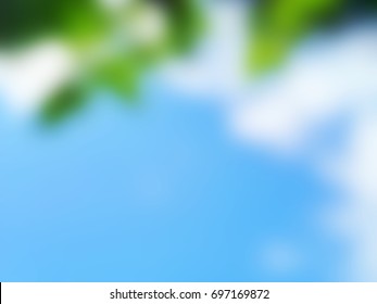 Blur Sky With Leaf Background. 