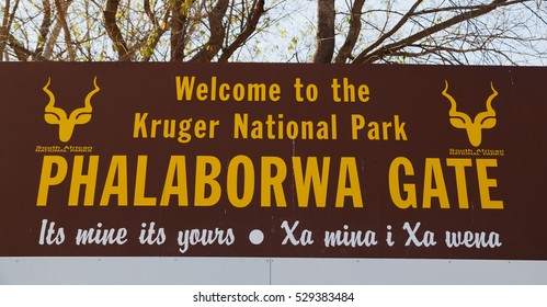 Blur In South Africa Gate Signal Entrance Kruger    National Park