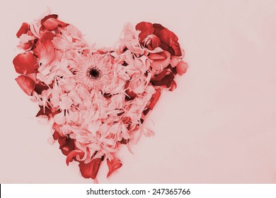 blur style vintage heart pink and red petal flower on white background  - Shutterstock ID 247365766