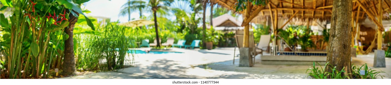 Blur summer background luxury resort hotel relaxation blue swimming pool green grass tropical palm tree rest zone Modern exterior Panorama banner defocused view