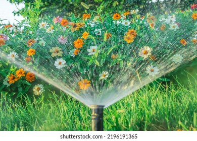 Blur of water in motion from a sprinkler in the garden against the background of flowers.Blurred action of watering flowers. - Shutterstock ID 2196191365
