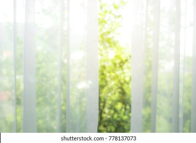 Blur of white curtain with window view / tree garden background.