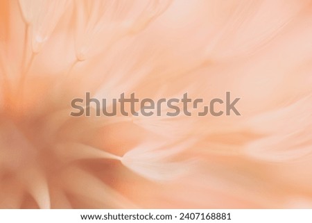 Blured abstract dandelion flower in trendy color -  peach fuzz color of the year 2024
