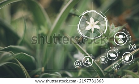 Blured green leave background and Smart technology with Internet of things futuristic agriculture concept, Sustainable energy, Metaverse, AI Futuristic Smart virtual interface.