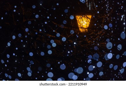 Blured Yellow Street Lamp In Blue Spots At Night