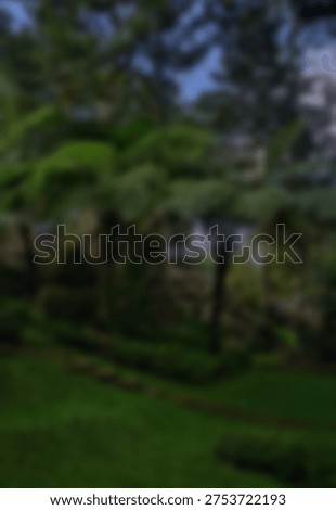 Blurred abstract background featuring dense green foliage and tall trees creating a natural, dark, outdoor texture.