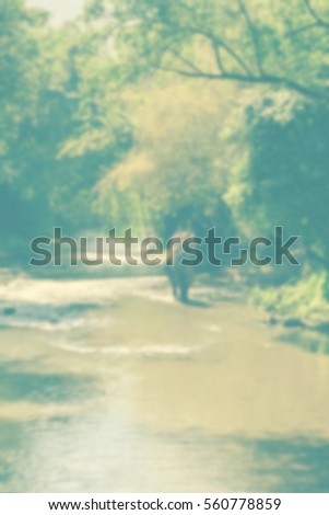 Blurred abstract background of Tourists ride elephant in the forest