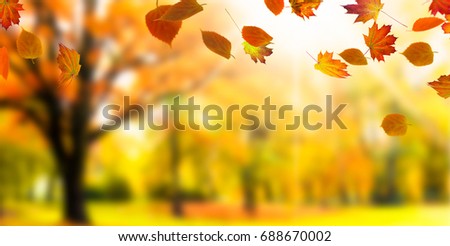 blurred autumnal landscape with leaf fall - autumn background, idyllic fall leaves border on beautiful blurred autumn forest background
