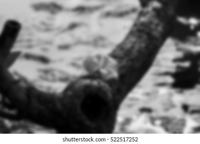 Blurred background