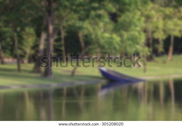 Blurred\
Background - A Boat sinking in the lake at\
park.