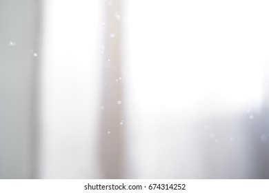 blurred background bokeh