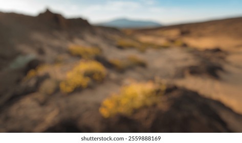 Blurred Background of Desert Landscape with Wildflowers and Rocky Terrain Under Blue Sky at Sunrise. Blurry Background For Design Projects. - Powered by Shutterstock