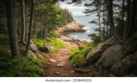 Blurred background of enchanting view of a dense forest in acadia national park. this serene landscape features a winding trail, lush greenery, and stunning coastal scenery. - Powered by Shutterstock