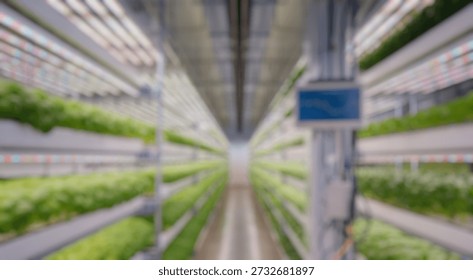 Blurred background of explore a modern vertical farming facility filled with lush lettuce, demonstrating advanced agricultural methods aimed at sustainability and efficient food production.