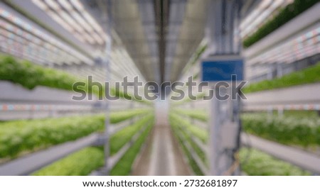 Blurred background of explore a modern vertical farming facility filled with lush lettuce, demonstrating advanced agricultural methods aimed at sustainability and efficient food production.