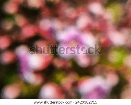 Blurred background faintly showing pink flowers