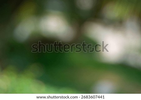 A blurred background featuring soft green and natural tones, creating an abstract and dreamy atmosphere