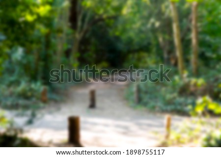 Blurred background of forest path way . 