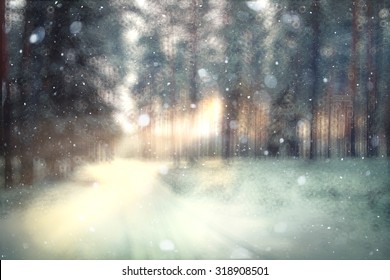 Blurred Background Forest Snow Winter