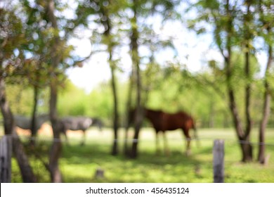 Blurred background of green  park bokeh with horses 