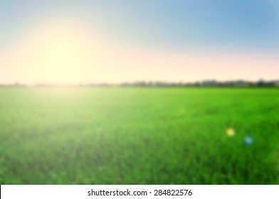 Blurred background green plain