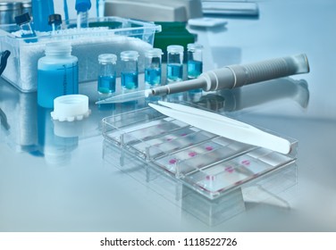 Blurred background for histopathology-related presentation. Stained histological tissue samples on glass, fixed tissue, automatic pipette and other work-related tools. Toned image, text space. 