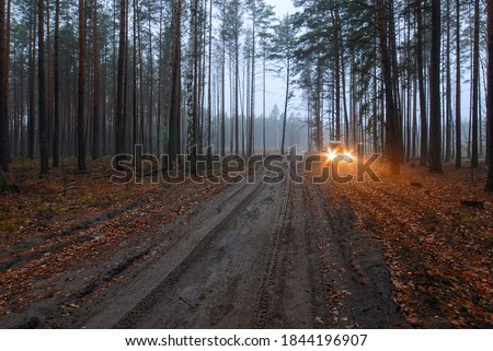 Blurred background. Landscape.  Dirt road in autumn pine forest. Dusk.  In the distance there is approaching car with glowing headlights, which diverge in two stars with long six-pointed beams. 
