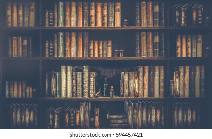 Blurred background . The background is a large bookshelf or book case on the wall.