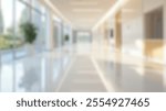 Blurred background of a modern office lobby showcasing sleek design and abundant natural light, enhanced by greenery and elegant flooring, creating a welcoming and professional environment.