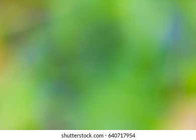 Blurred Background Muted Pastel Green Shades