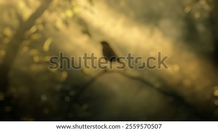 Similar – Foto Bild Gelassener Vogel auf einem Beerenzweig im Winter