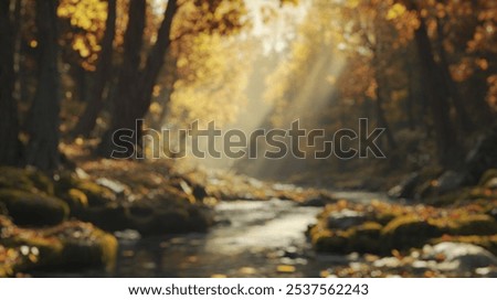 Similar – Image, Stock Photo Golden sunlight filters through a dynamic field of wheat with red poppies, creating a blurred, dreamlike effect