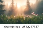 Blurred background of serene misty dawn in an evergreen forest, where large trees loom and soft light filters through a tranquil landscape, creating a peaceful atmosphere.