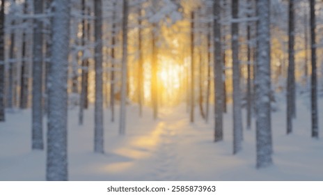 Blurred background of a serene winter forest scene featuring tall pine trees blanketed in snow. soft sunlight filters through the trees, creating a peaceful atmosphere.