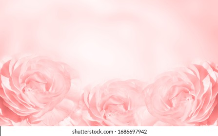 1,021,813 Beautiful pink rose garden Images, Stock Photos & Vectors ...