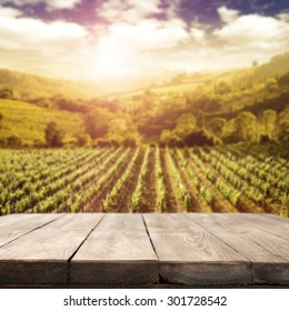 Blurred Background Of Vineyard And Table And Countryside 